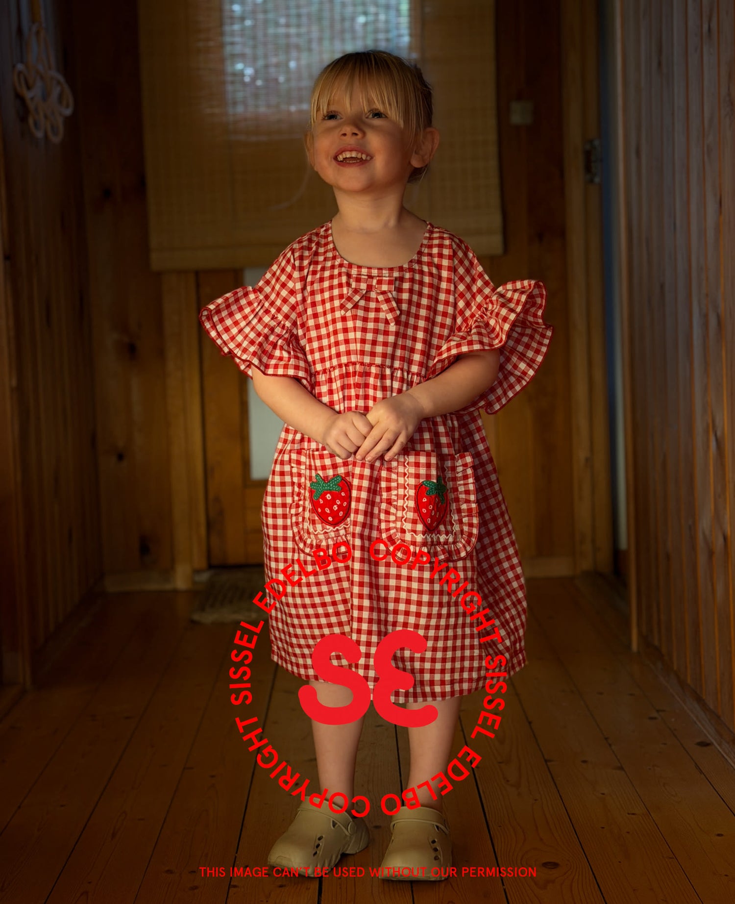 Ohio MINI Dress - Red Checks