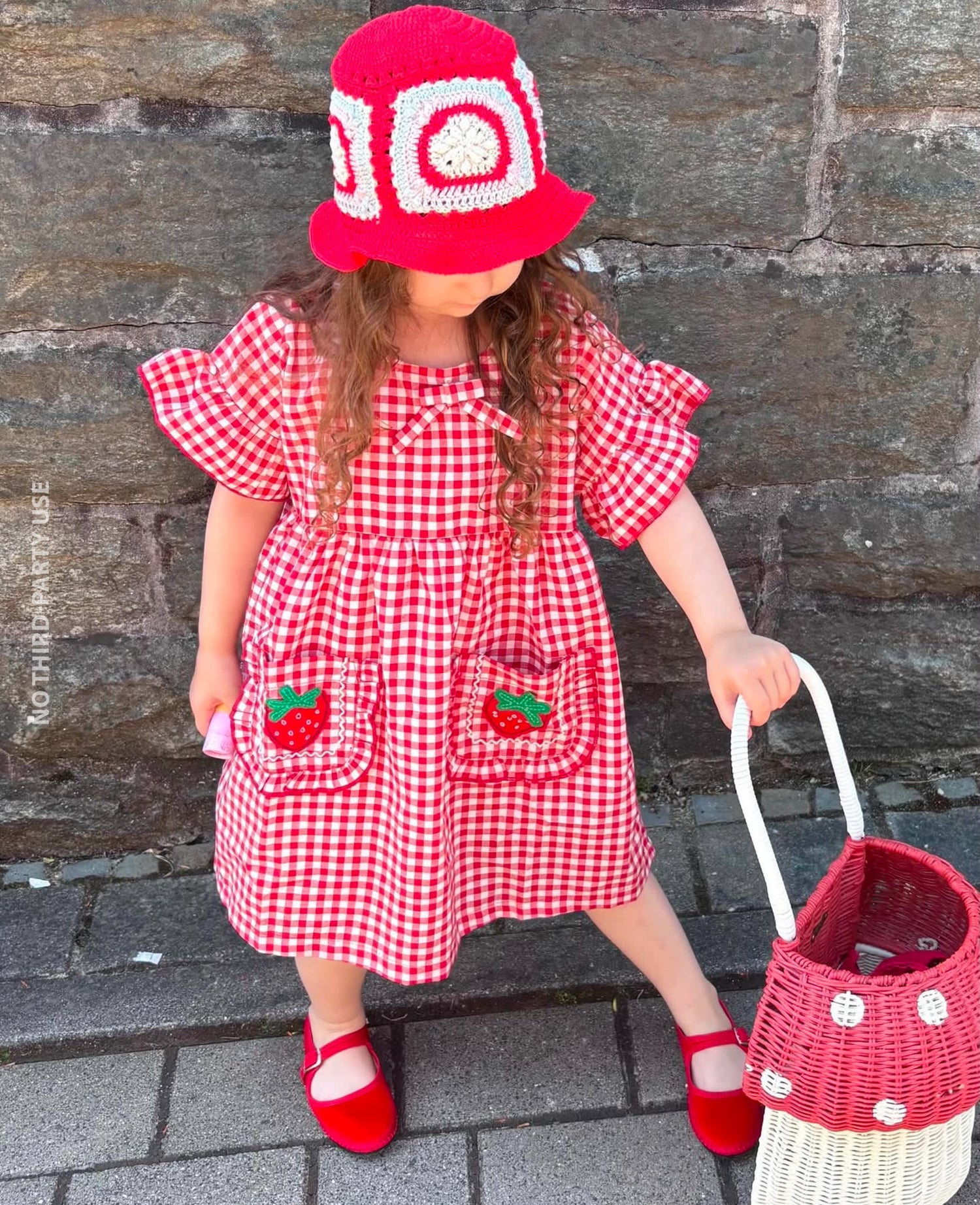 Ohio MINI Dress - Red Checks