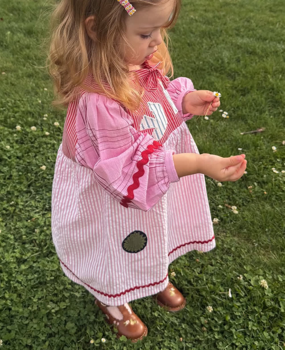 Gaia MINI Dress - Rose Mix
